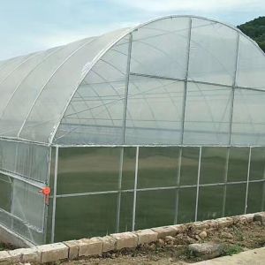 Buy cheap Multi Span Polytene Film Agricultural Greenhouse with Automatic Controlling System from wholesalers