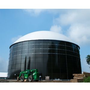 China Customized Assembled Organic Wastewater Treatment Anaerobic Reactor on sale
