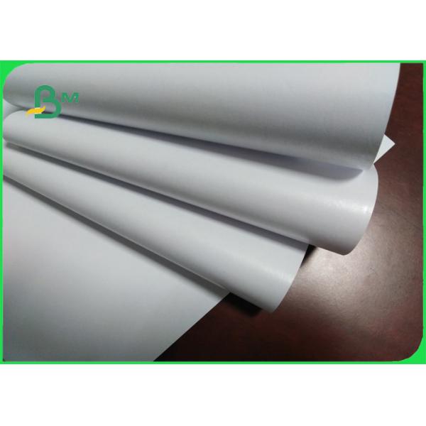 PE coated woodfree paper PE coated woodfree paper