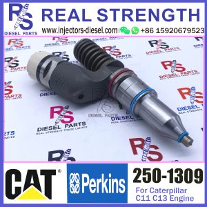 Buy cheap 250-1309 Diesel Engine Fuel Injector 250-1309 294-3002 10R-3258 10R-6162 for Caterpillar C11 C13 engine from wholesalers