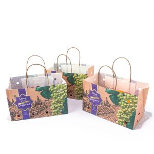 Buy cheap Square Fruit Paper Bags 100gsm Thickness Compostable With Handle from wholesalers