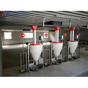 Buy cheap Customized High Strength Pig Feeding System For Livestock Piglet from wholesalers