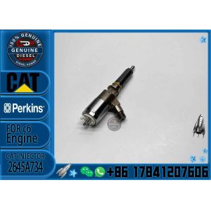 Common Rail Injector 306-9380 Fuel Injector Assembly 320-0680 2645A747 2645A734