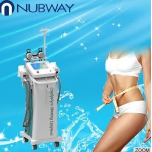Buy cheap Cryolipolysis Slimming Machine(NBW-C200) from wholesalers