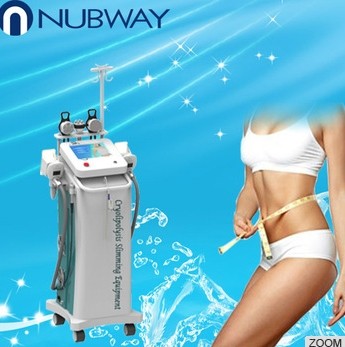 Quality Cryolipolysis Slimming Machine(NBW-C200) for sale