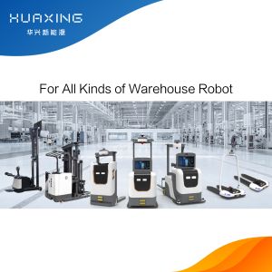 48V 42ah Lithium Ion LiFePO4 Electric AGV Batteries Pack For Motive Power 48V