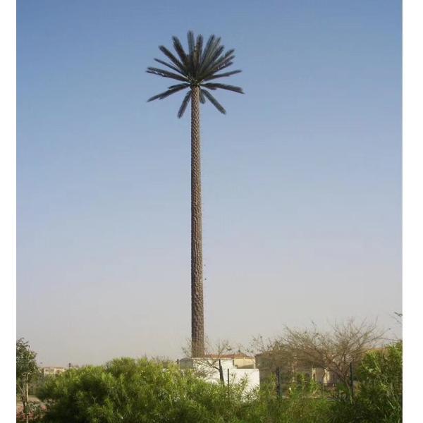 Quality Steel Camouflaged Telecommunication Gsm Antenna Tower for sale