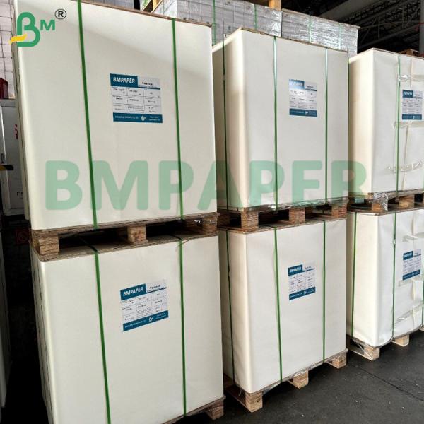180gsm 200gsm Aqueous plastic free paper Cupstock Paper Heat Resistant (120°C)