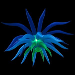 Buy cheap inflatable star with LED changing color and various style is very suitable for party decoration from wholesalers