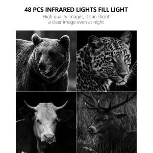 Experience Unmatched Performance with 4G Trail Camera The Perfect Solution for