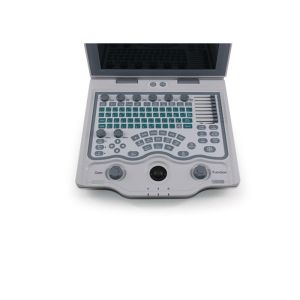 Buy cheap 10.4 Inch Screen Portable Ultrasound Scanner Color Doppler Machine With Trolley Optional from wholesalers