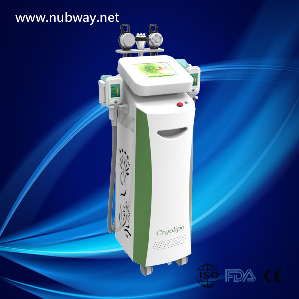 Quality High performance best quality 5 handles fat freezing cryolipolysis slimming machine for sale
