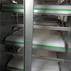 Buy cheap Hot Galvanized Surface Automatic Manure Removal System IS9001 Certification from wholesalers