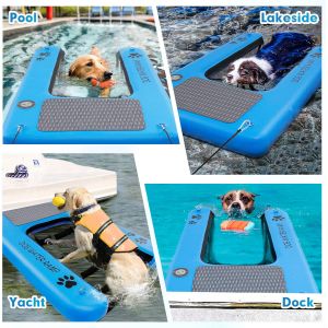 Buy cheap Help Dog Getting Out Of Water With Inflatable Ramp For Dogs Pool Dog Ramp For Pools, Boats, Docks from wholesalers