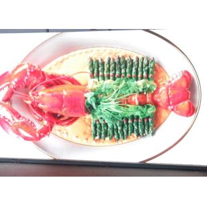 Buy cheap 1R1G1B Outdoor Fixed LED Number Display IP65 P4 With S - Video VGA DVI Input from wholesalers