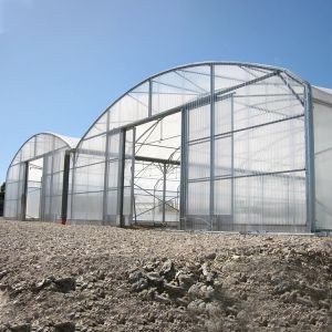 Buy cheap Multi Span Vegetable Animal Flower Growing Agriculture Polycarbonate Sheet Greenhouse from wholesalers