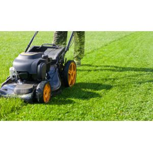 Buy cheap invisible Variable Appearance Monofilament Yarn For Branding from wholesalers