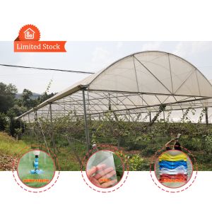Buy cheap Large Size Rain Shelter Greenhouse with PE Film Covering and Hot Galvanized Steel Frame for Plants Cultivation from wholesalers