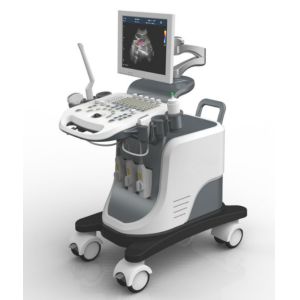 Buy cheap Full Digital Trolley 4D Echo Ultrasound Machine With LED Screen from wholesalers