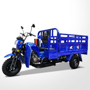 DAYANG Heavy Loading Tricycle 175CC/200CC/250CC Q2 Cargo Tricycles for Cargo