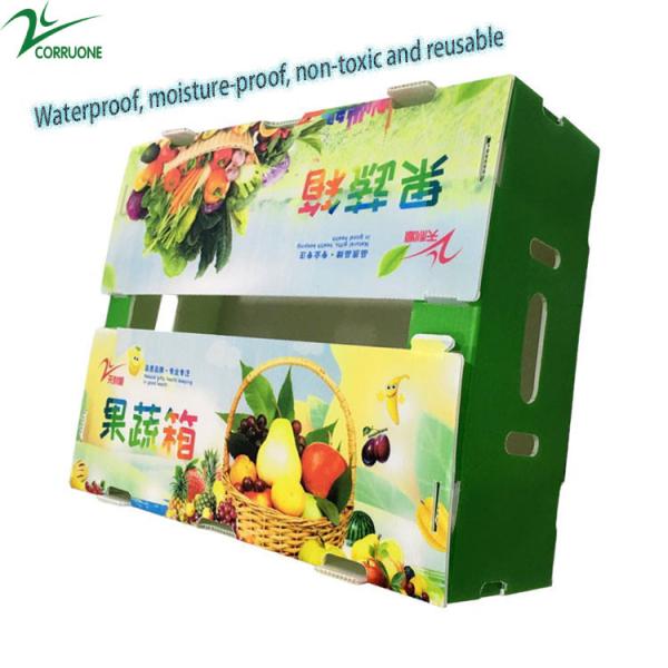 Buy cheap Polypropylene Fruit Corrugated Boxes Polyethylene Asparagus Box from wholesalers