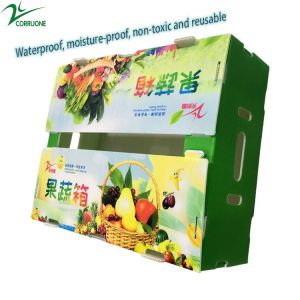 Buy cheap Polypropylene Fruit Corrugated Boxes Polyethylene Asparagus Box from wholesalers