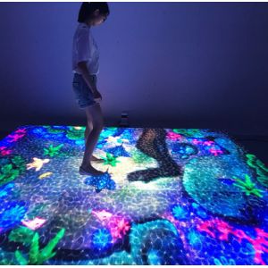 Customized Sizes LED Dance Floor IP65 Lightweight With 1 Year Warranty