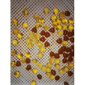 Buy cheap Food Grade Plastic / Metal Tray And Trolly For Drying Capsule Candy from wholesalers