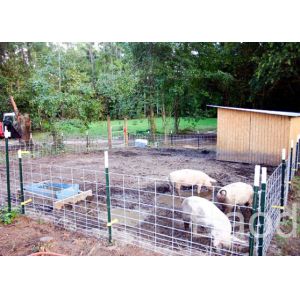 Galvanized Welded Hog Fence Wire Mesh Sheets With Rectangular Grid 16 Inch