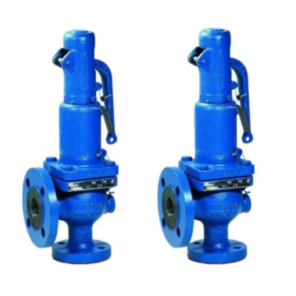 ASMEl And VIII Safety Valves Customized Support for High Temperature Application