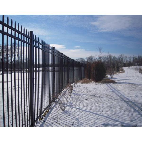 Quality 2.1x2.4m Powder Coated Ce Passed Wrought Iron Picket Fence For High Security for sale