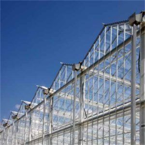 Buy cheap High Light Transmission Venlo Glass Greenhouse Colorful Design for Garden product