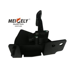 Buy cheap WG9725570010/3 Electronic Accelerator Pedal For Sinotruk Howo from wholesalers