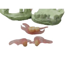 Precision Customization Planting Model Resin With 3D Scanning And Printing