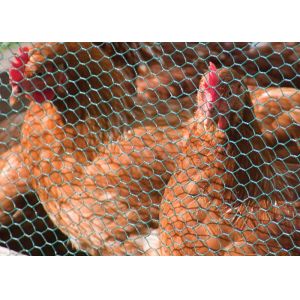 China 1.4mm 1 Inch Poultry Netting Bwg 20 Rabbit Wire Mesh on sale China 1.4mm 1 Inch Poultry Netting Bwg 20 Rabbit Wire Mesh on sale