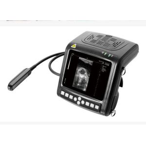 Buy cheap Digital Veterinary Ultrasound Scanner product