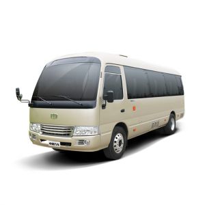 Buy cheap 6m Diesel Coaster Buses 19 Seater Manual LHD/RHD custom vehicle. from wholesalers