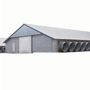Buy cheap Light Steel Structure Shed Construction Customized Steel Broiler Poultry House from wholesalers