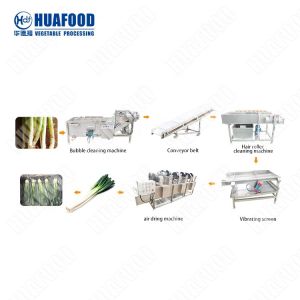 Fruit Vegetable Washing Production Line Dragon Fruits Washing Machinery Fruit