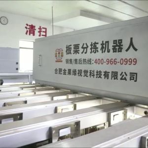 AI Powered High Accuracy Chestnut Sorting Machine with Capacity 2.3-3.3Tons/Hour