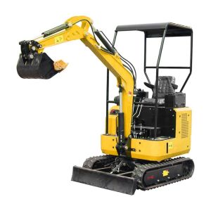 China Ce Certified 1t Mini Excavator with 1100mm Chassis Width and 2000mm Maximum Digging Depth on sale