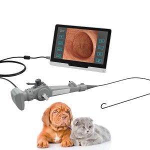 Buy cheap Portable Flexible Video Endoscope For Animal Cystoscopy Bronchscopy from wholesalers