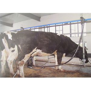 380 Volt 50Hz High Quality Pipeline Milking Parlor System with Milk Receiver