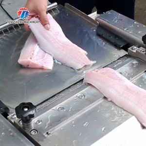 30pcs/min Fish Processing Machine Squid Cuttlefish Skin Peeler