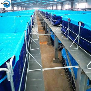 Buy cheap Biofloc fish tank aquaculture fish farming tanks from wholesalers
