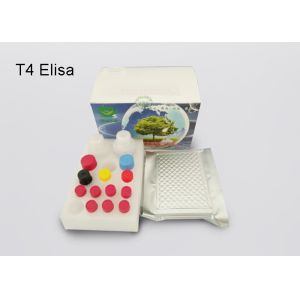 Buy cheap Thyroxine T4 Elisa Diagnostic Kits Plasma Sample With 2 Standard Curve Ranges from wholesalers