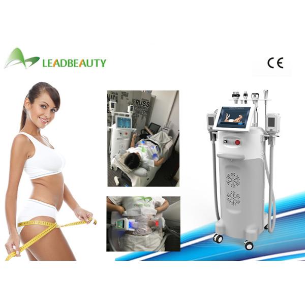 Quality Body slimming cryolipolysi 5 handles weight loss cool sculpting machine criolipolisys machine for sale