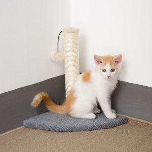 Buy cheap OEM Eco Friendly 13.39" Fabric Cat Scratching Post from wholesalers