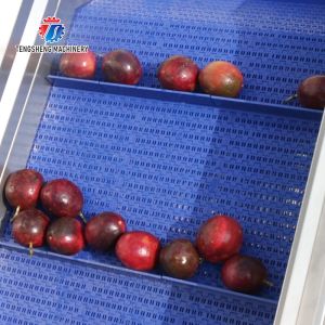 Multifunctional Vegetable And Fruit Processing Line Hair Roller Bubble Cleaning