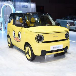 Buy cheap Electric Copilot Seat Adjustment MINI Car with Fabric Seats Material and 50-80L Fuel Tank Capacity from wholesalers